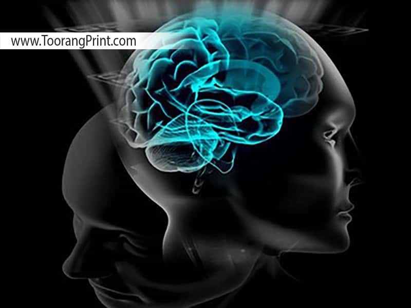 holographic mind holographic mind