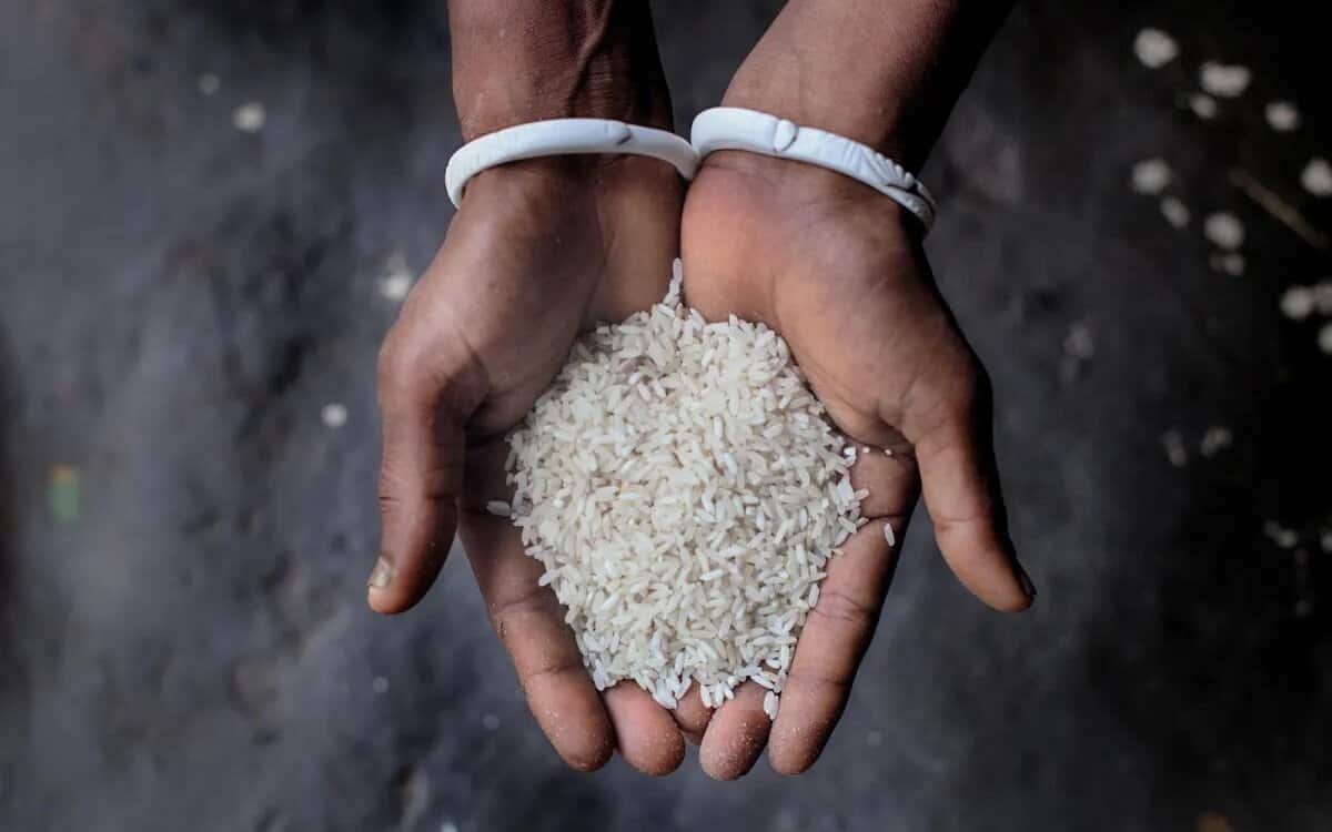 کدام برنج پاکستانی بهتر است؟ کدام برنج پاکستانی بهتر است؟