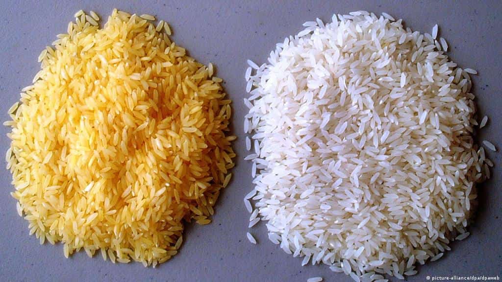  کاربرد برنج طلایی