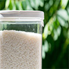 شرایط انبار کردن برنج برای طولانی مدت